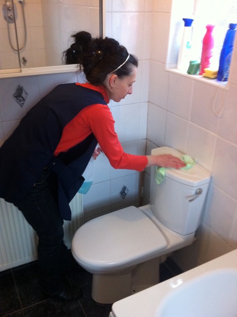 domestic_cleaner_cleaning_a_toilet